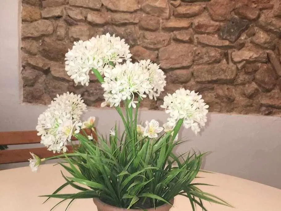 Apartament De La Susanna Old Town Mezzanine Tarragona Spain
